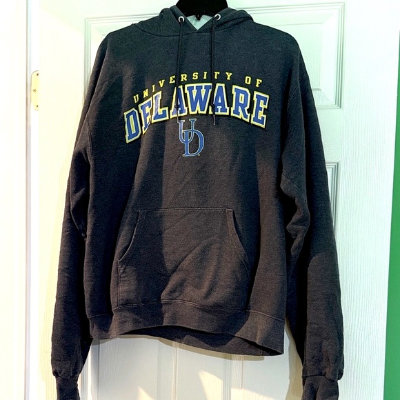 U of D Charcoal Champion Hoodie - Picture 1 of 2